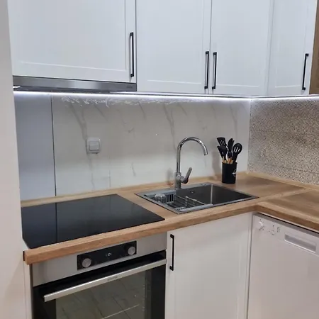 Stylish 1Br Apartment With Free Parking Near City Center - Karposh 公寓 *