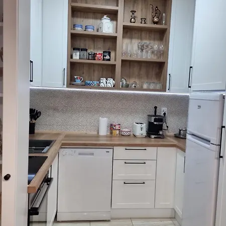 Stylish 1Br Apartment With Free Parking Near City Center - Karposh 公寓